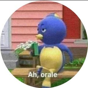 Meet your Posher, Shayenne